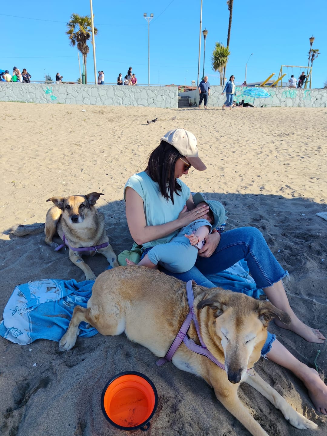 Customer photo review of Polera de Lactancia Sahr - Estampado Luna VIP