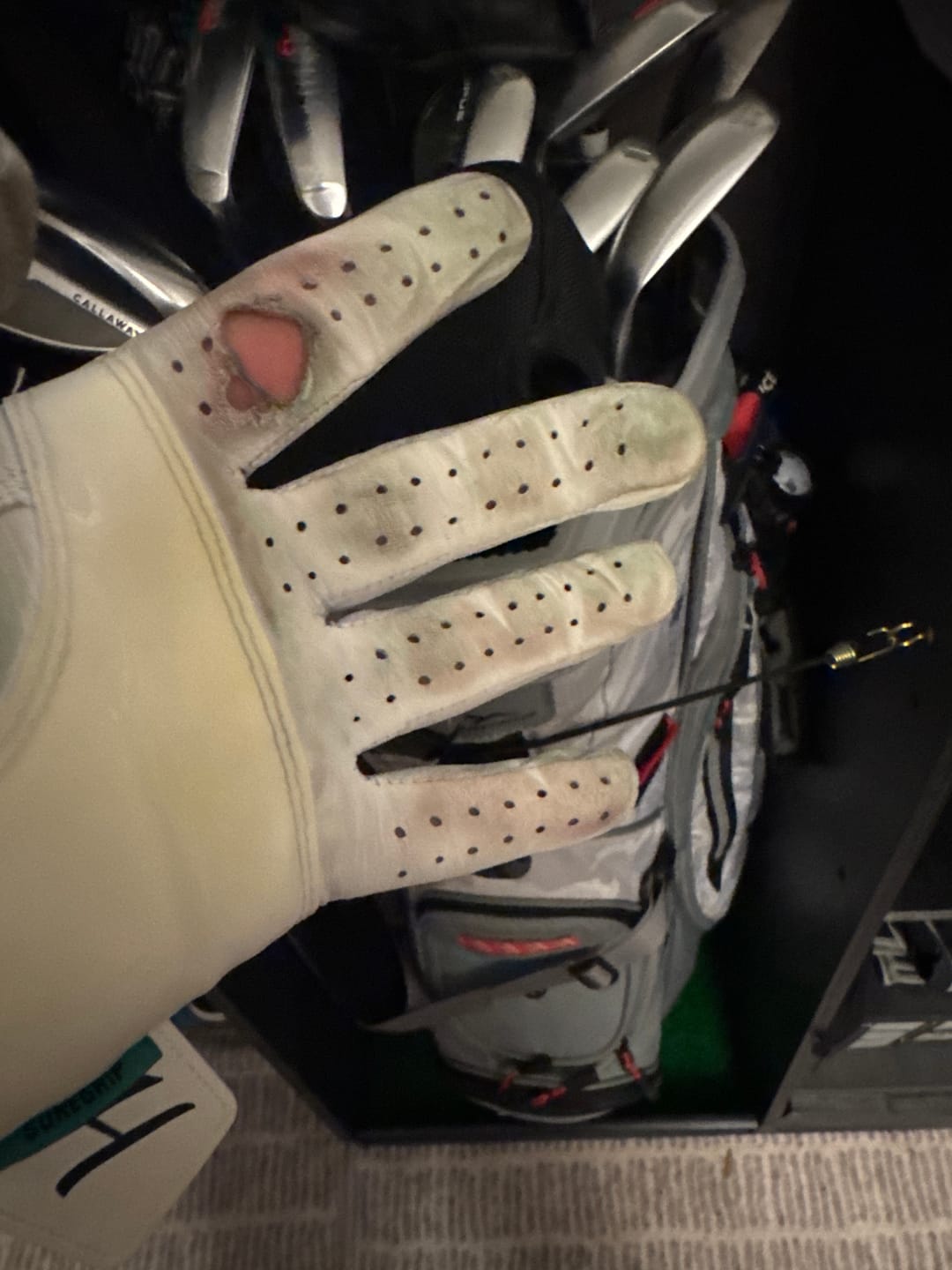 Customer photo review of Holen SureGrip Glove