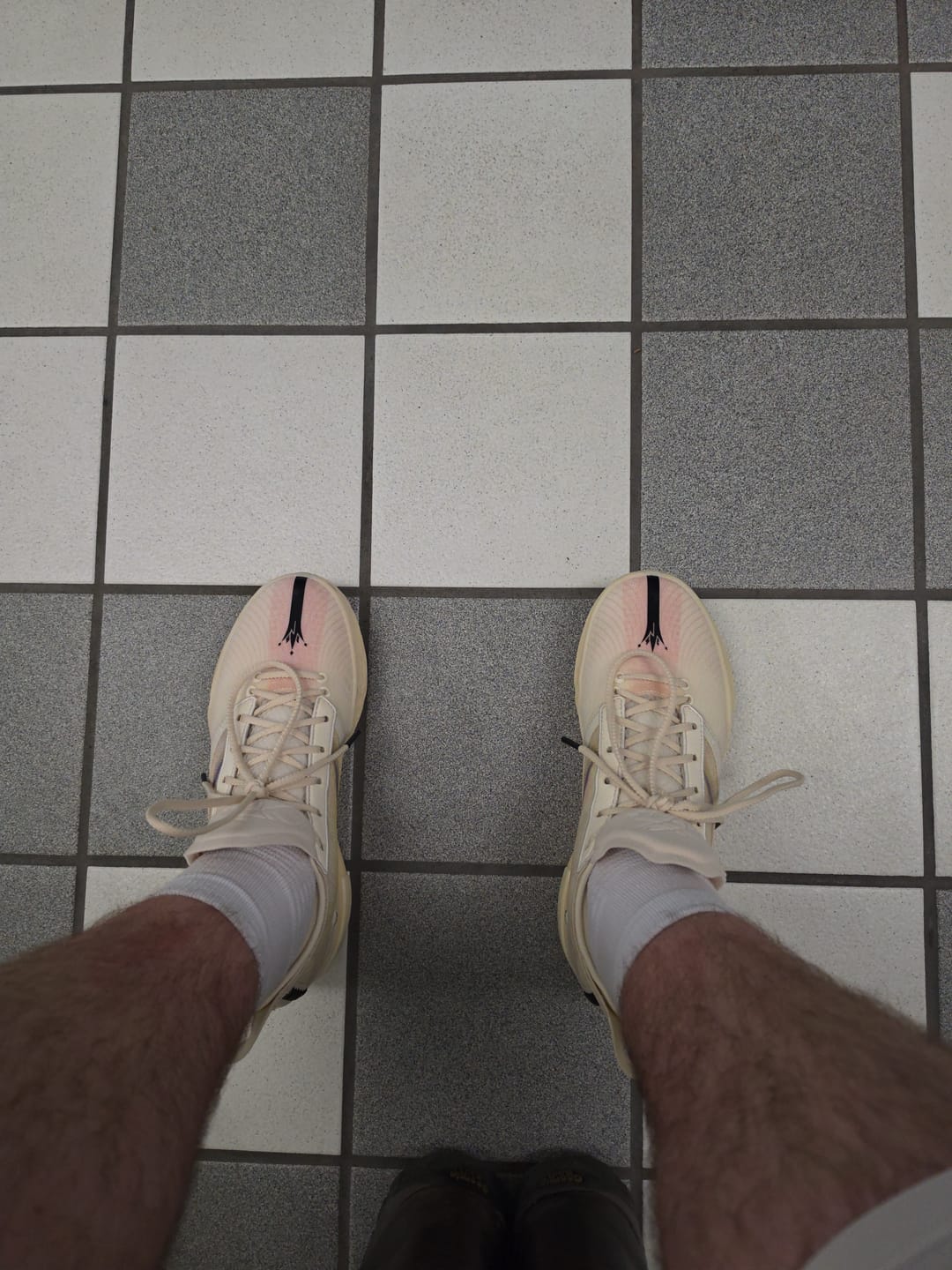 Customer photo review of Joker 1 GT SE "MIRO"