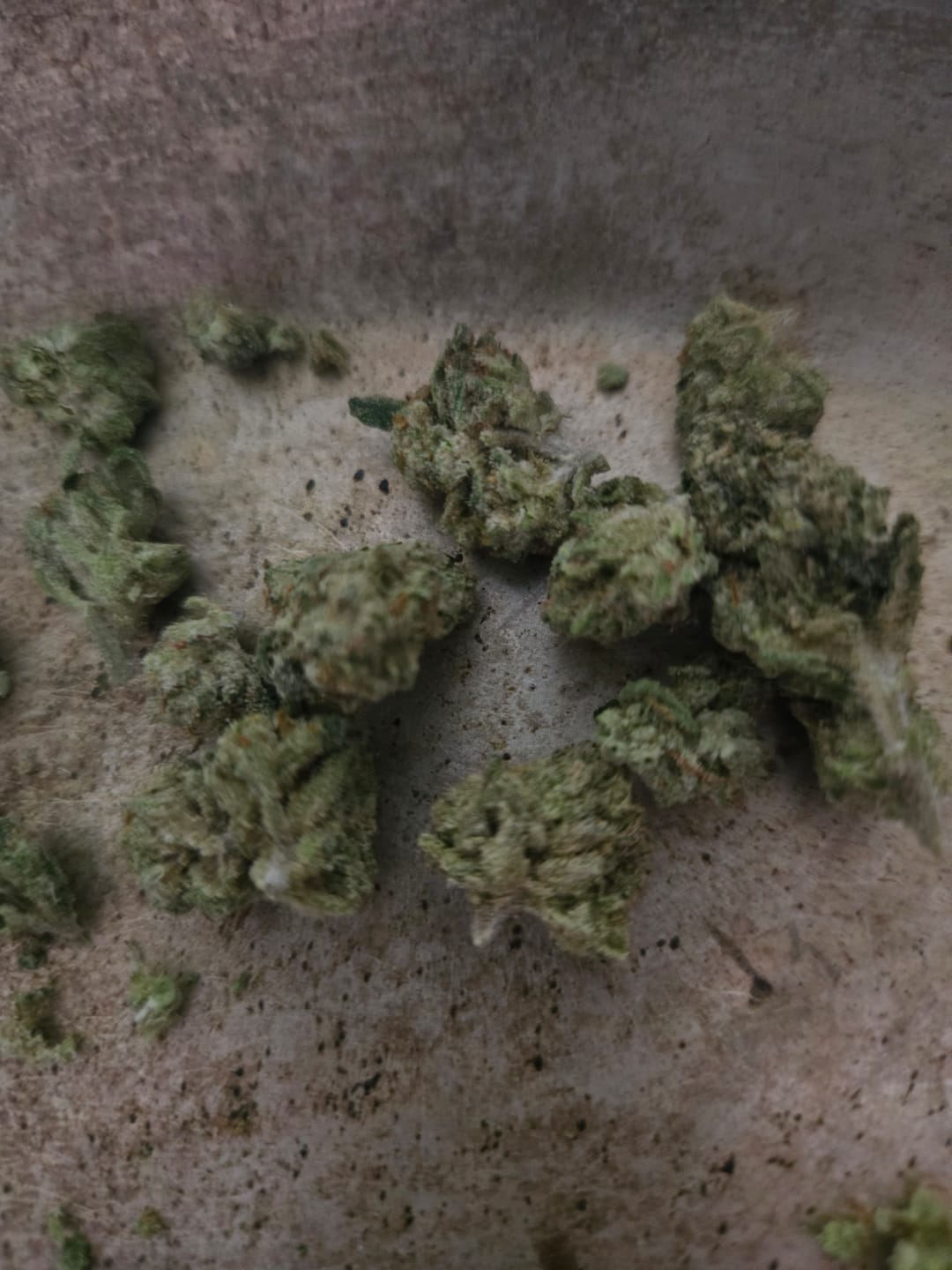 Customer photo review of Light Assist THCA Smalls