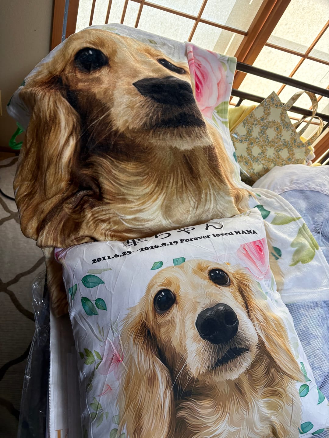 Customer photo review of Petcanva® 品質補償サービス