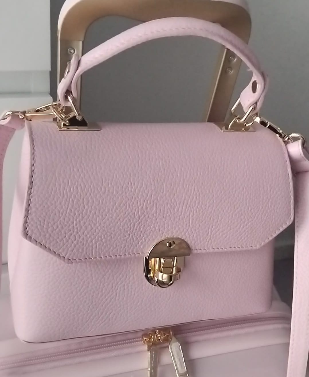 Customer photo review of The Lucinda Top Handle Bag
