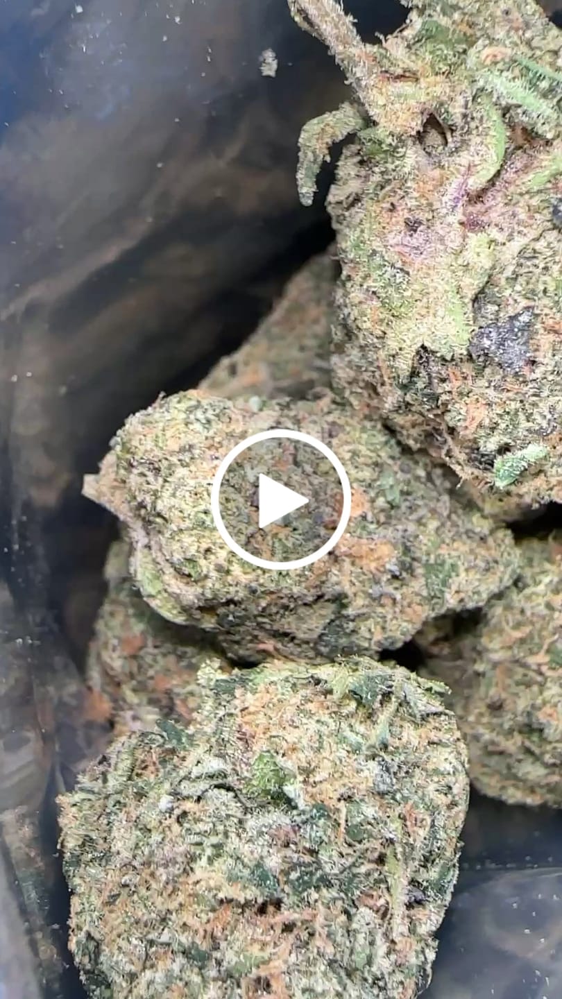 Customer video review of Biscotti THCA Flower (Premium)