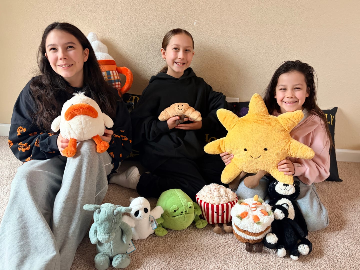 Customer photo review of Amuseables Croissant