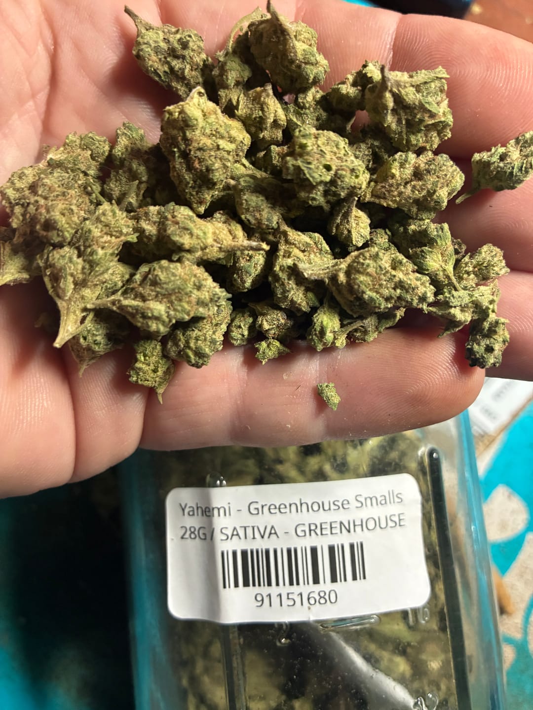 Customer photo review of Yahemi - Greenhouse Smalls