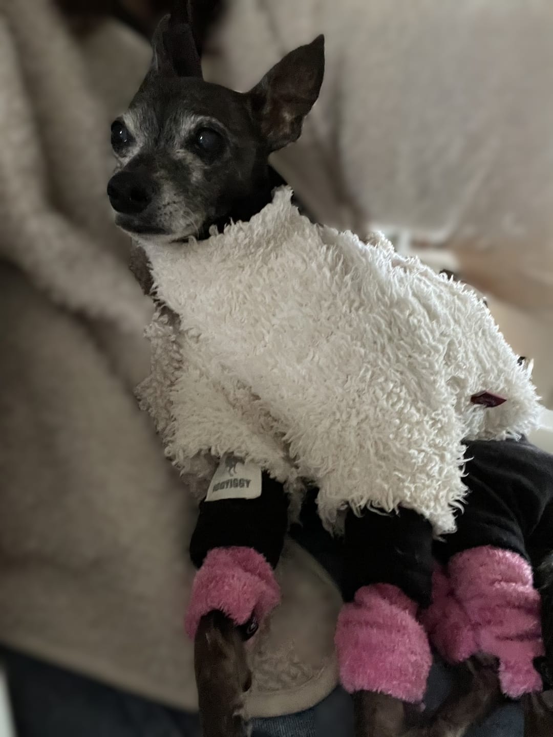 Customer photo review of Stretchy Fleece Dog Leg Warmer Sleeves - Pink