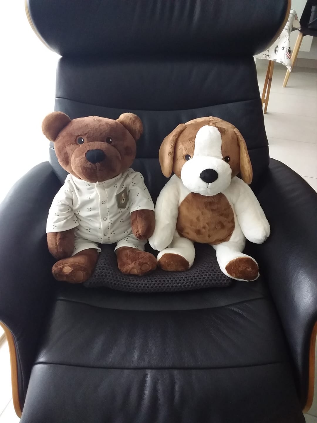 Customer photo review of Lotgenootje Hond 2kg