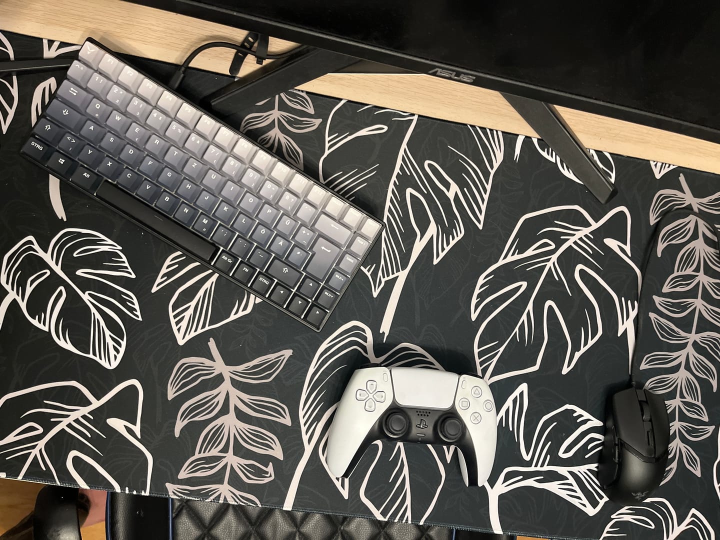 Customer photo review of Tropical Black