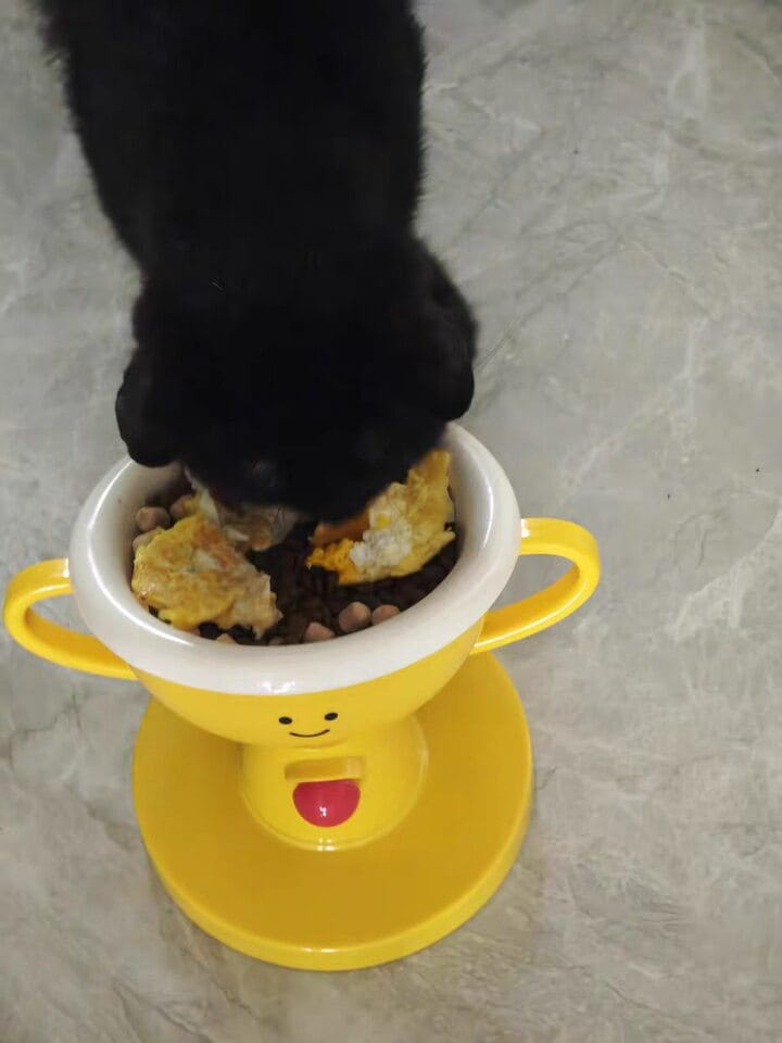 Customer photo review of Opulent Bowl
