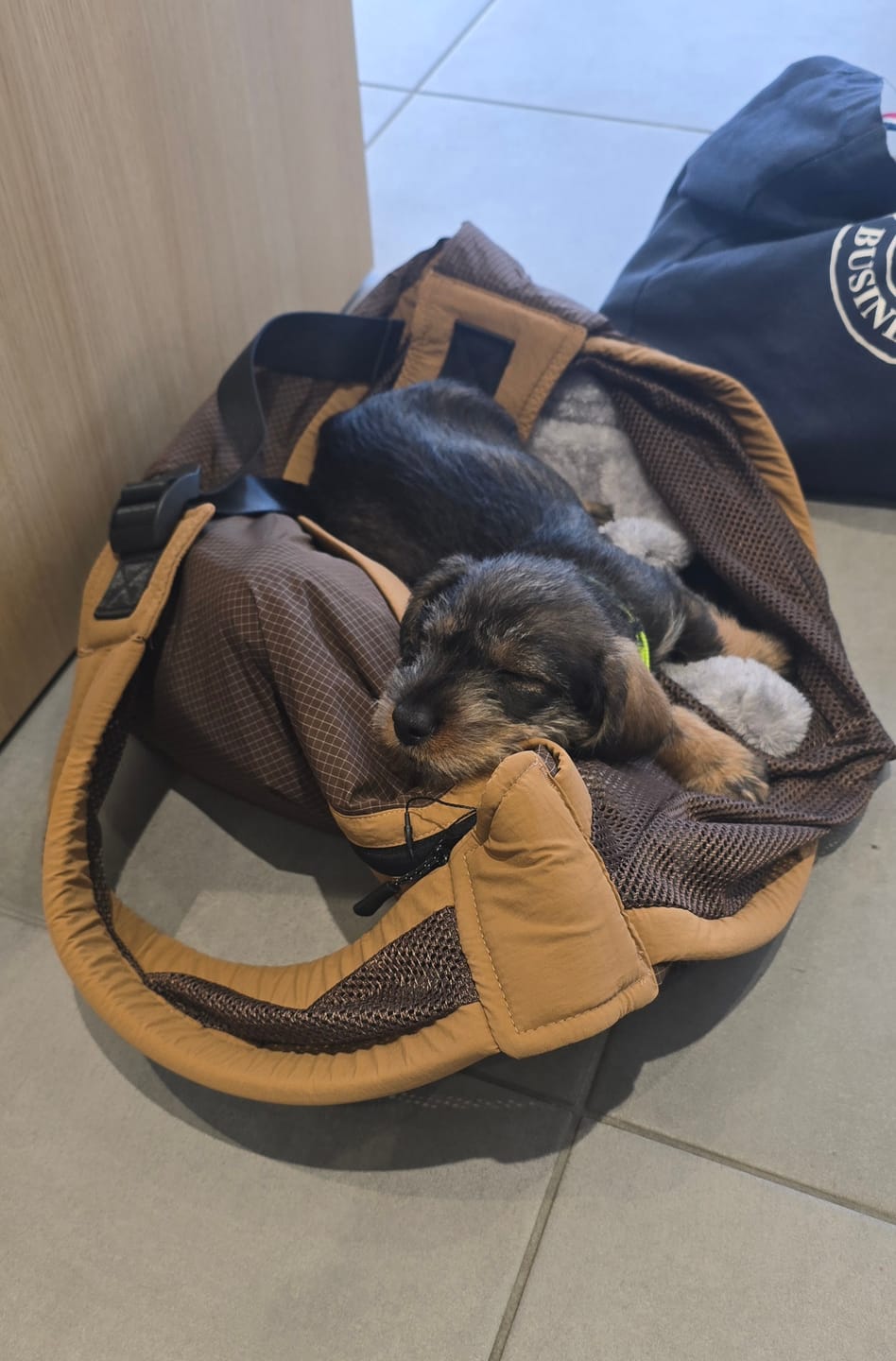 Customer photo review of Sac de transport en bandoulière marron