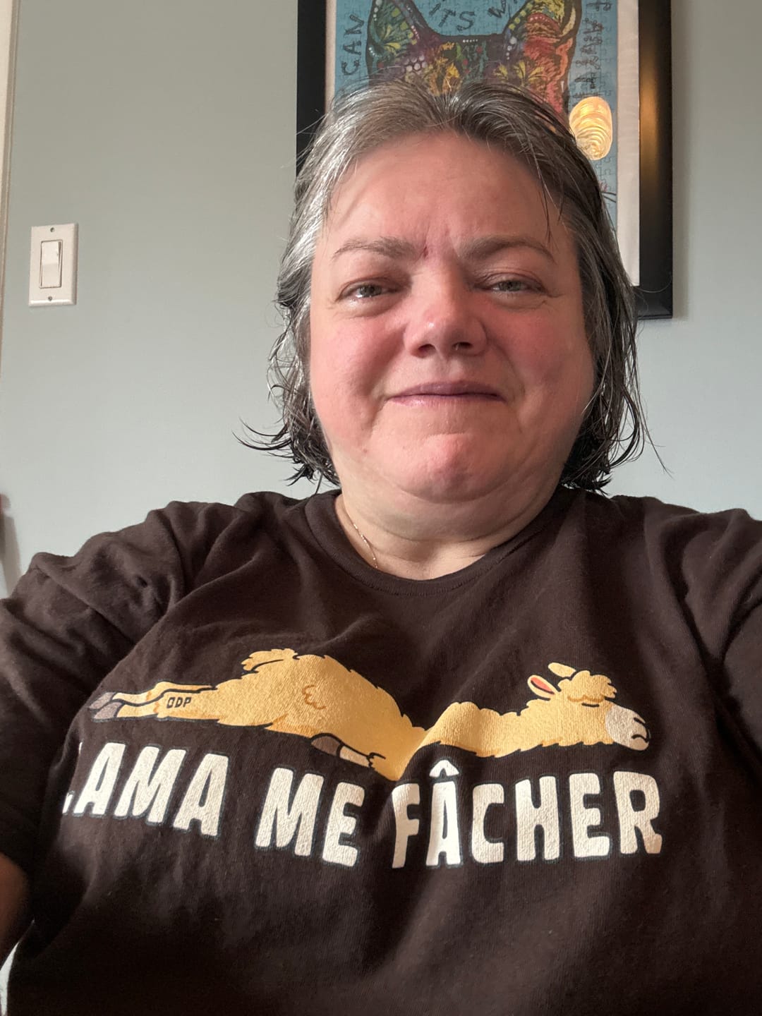 Customer photo review of T-Shirt Lama Me Fâcher