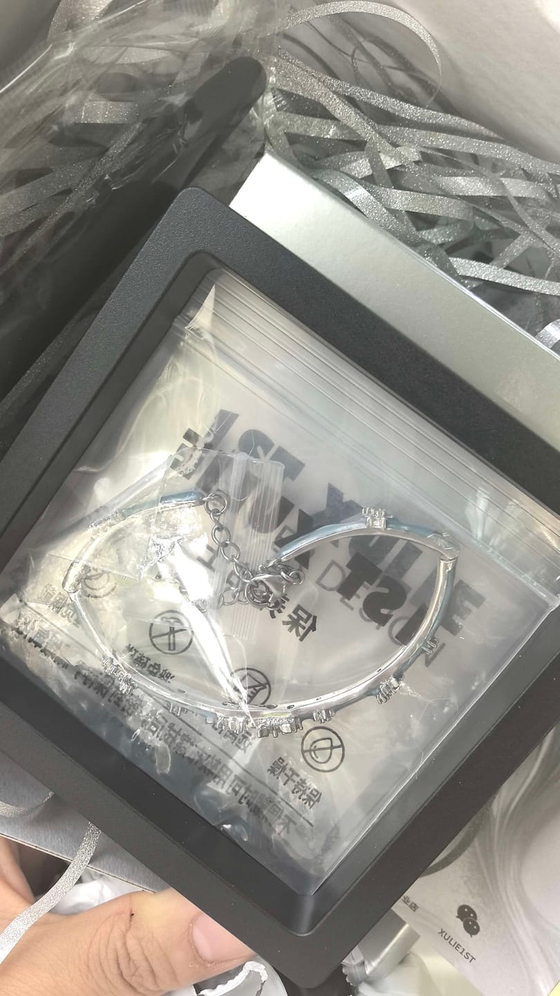 Customer photo review of "Snow Land" Platinum Plated Snowflake Charm Bracelet