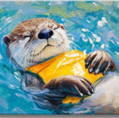 Customer photo review of Dreaming Otter