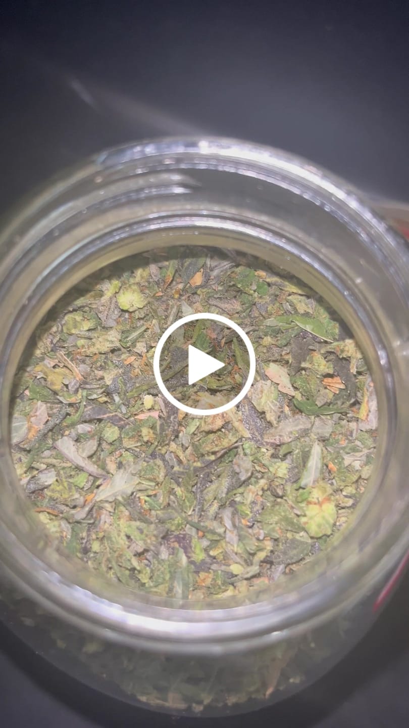Customer video review of Cheap THCA Flower Trim