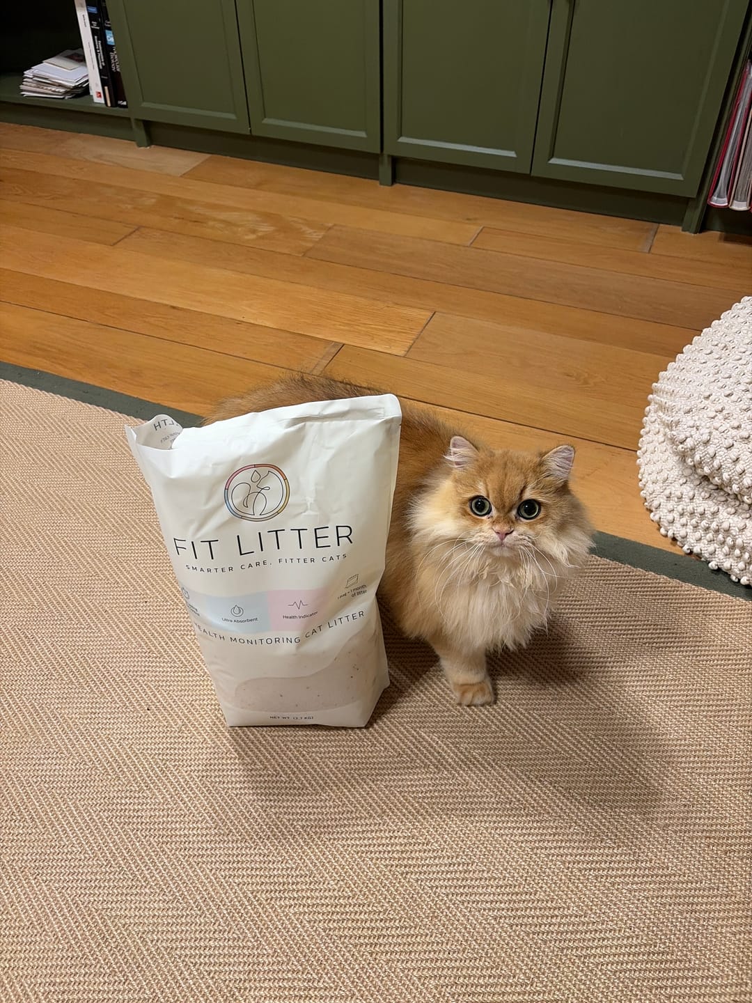Customer photo review of Fit Litter