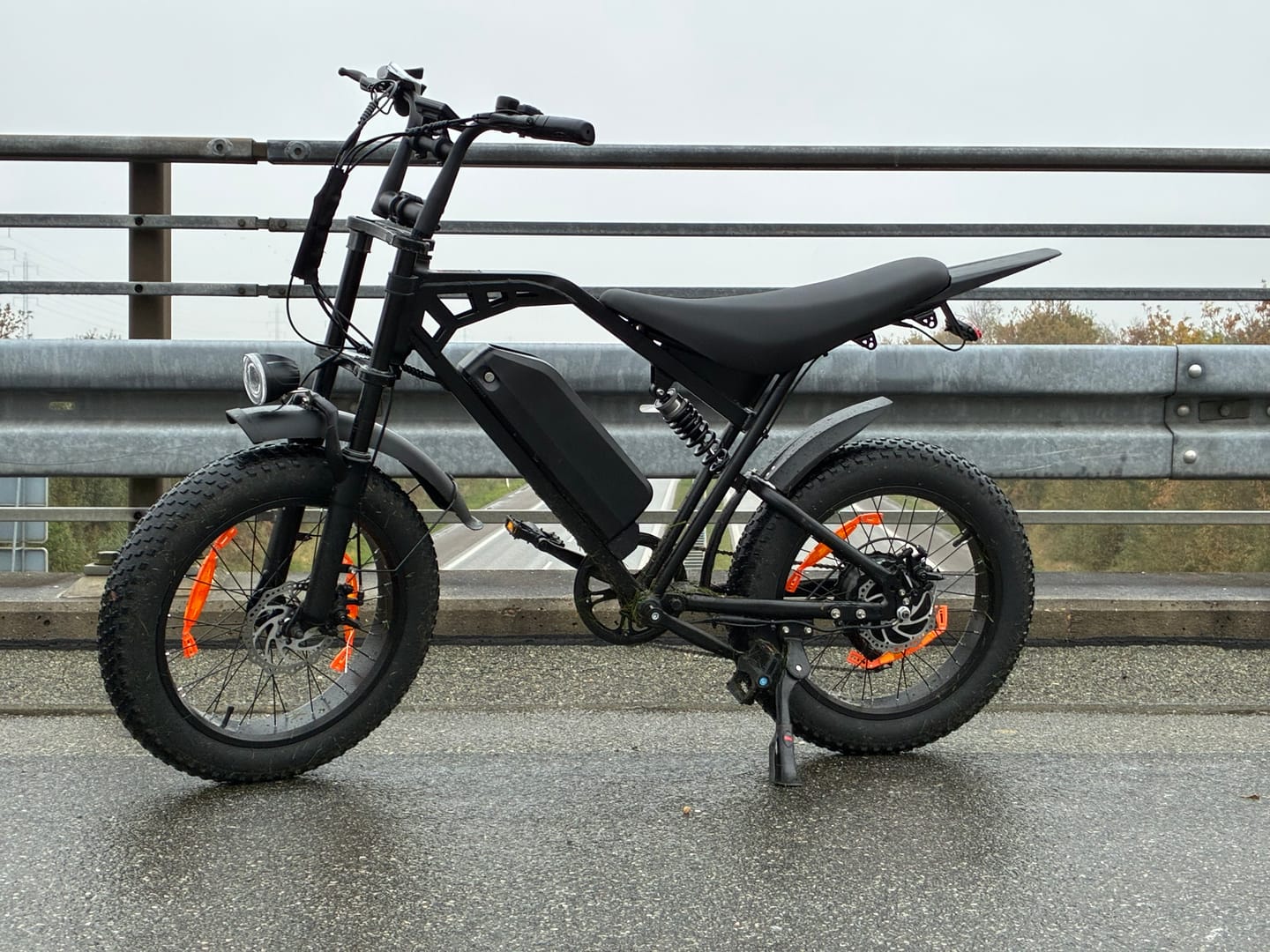 Customer photo review of Eskute V202 Retro E-Bike
