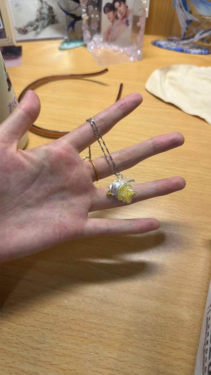 Customer photo review of "WISHING STAR" Platinum Plated Wishing Bottle Dangle Earrings