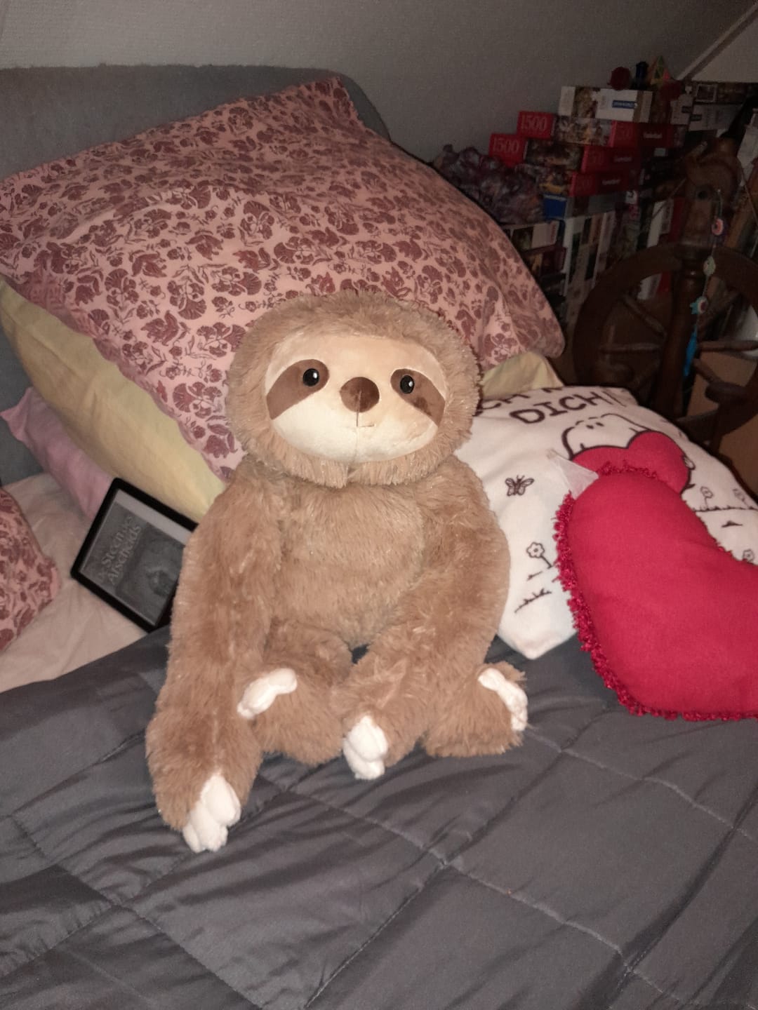 Customer photo review of Lotgenootje Luiaard 2,5kg