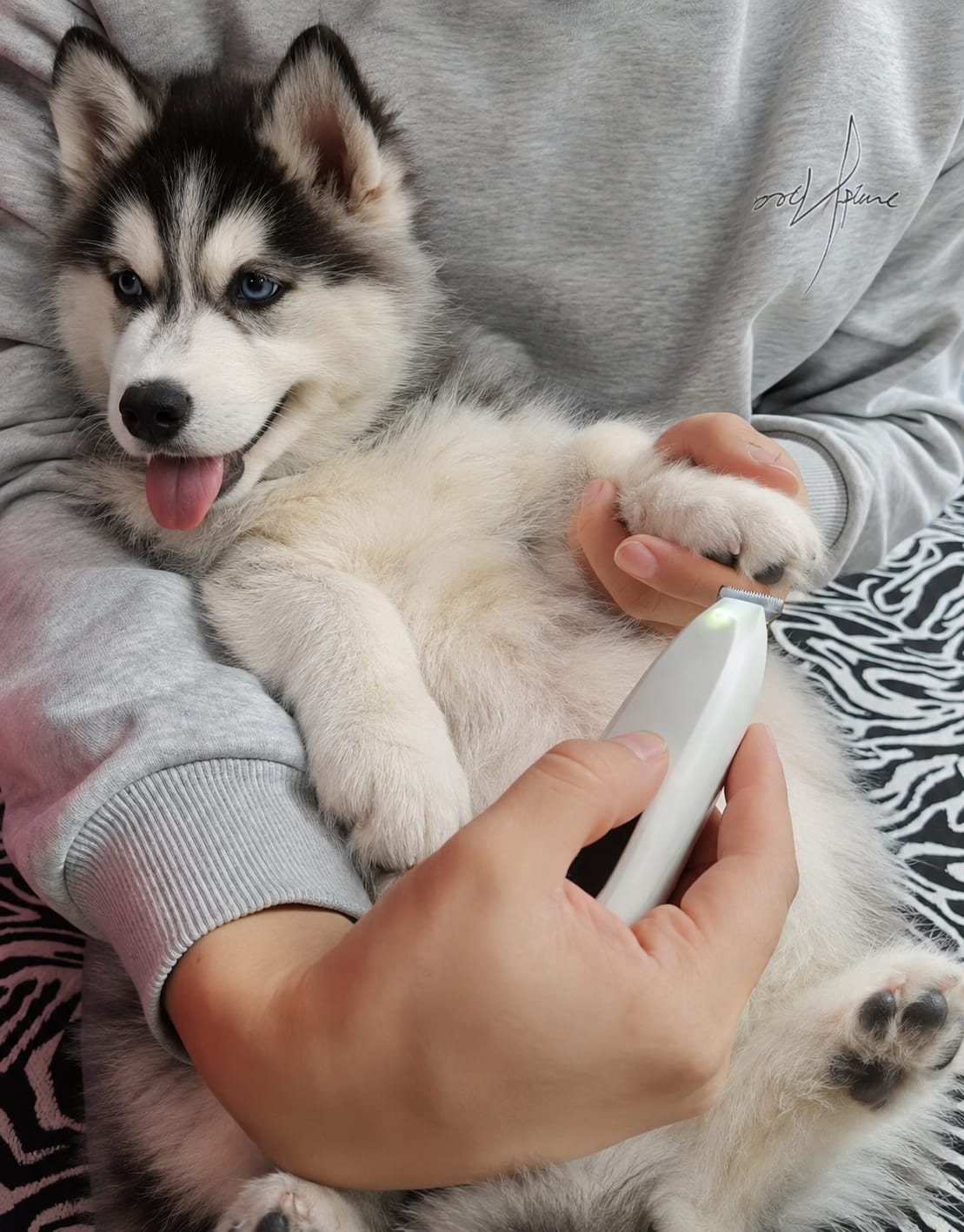 Customer photo review of Huskees Paw Trimmer™