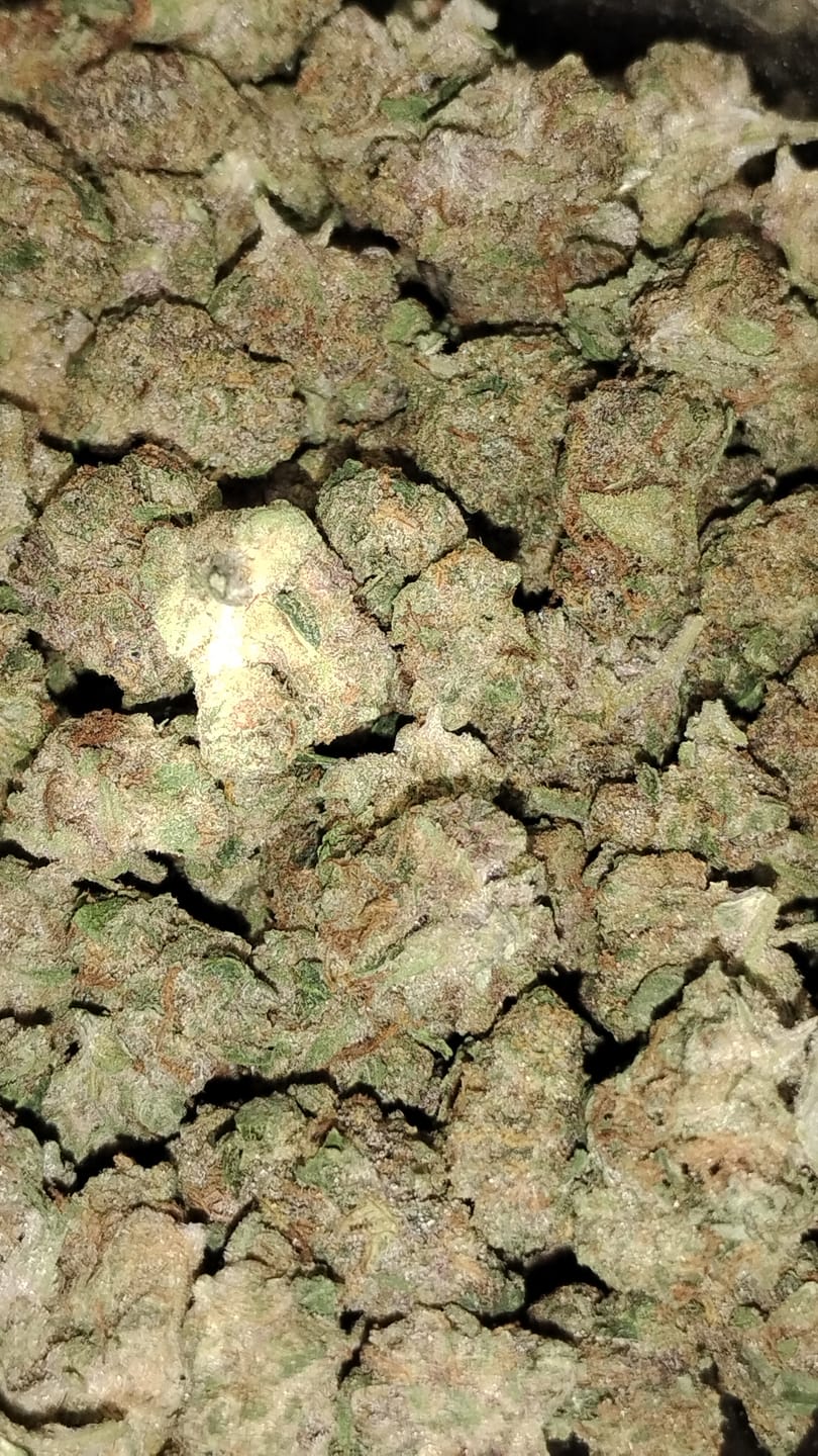 Customer photo review of Cheap THCA Smalls Quarter Pound