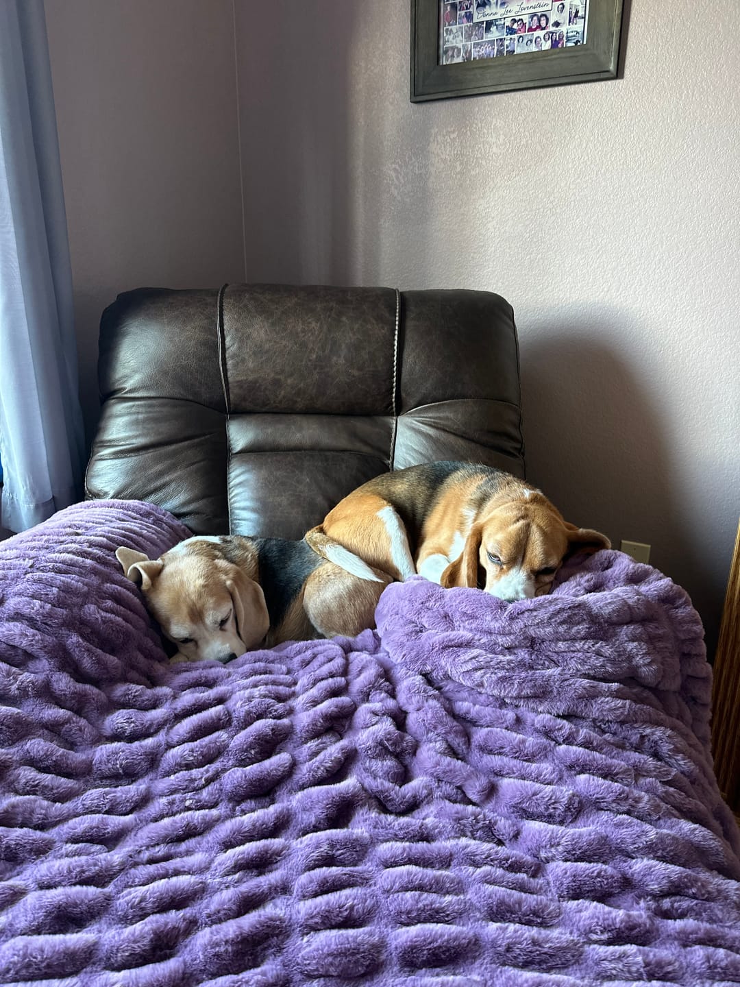 Customer photo review of Hugs Grape Blanket