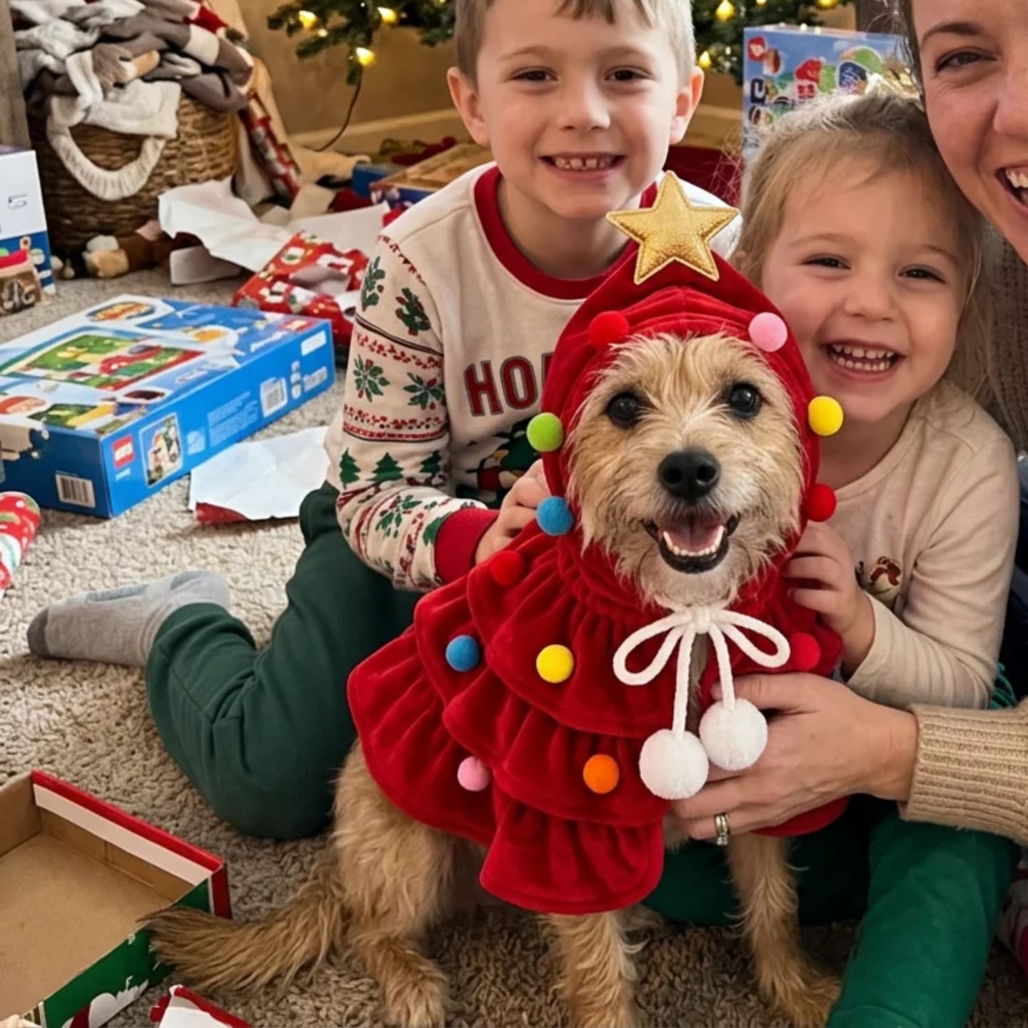 Customer photo review of Star outfit for small dogs