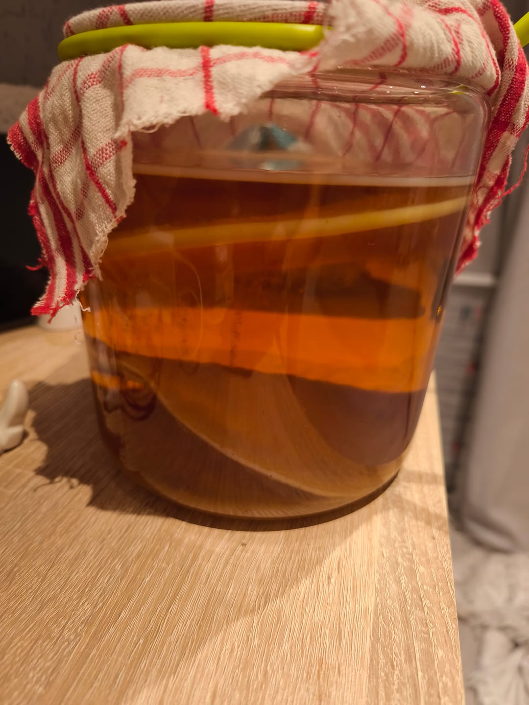 Customer photo review of BIO Kombucha Scoby + Ansatzflüssigkeit
