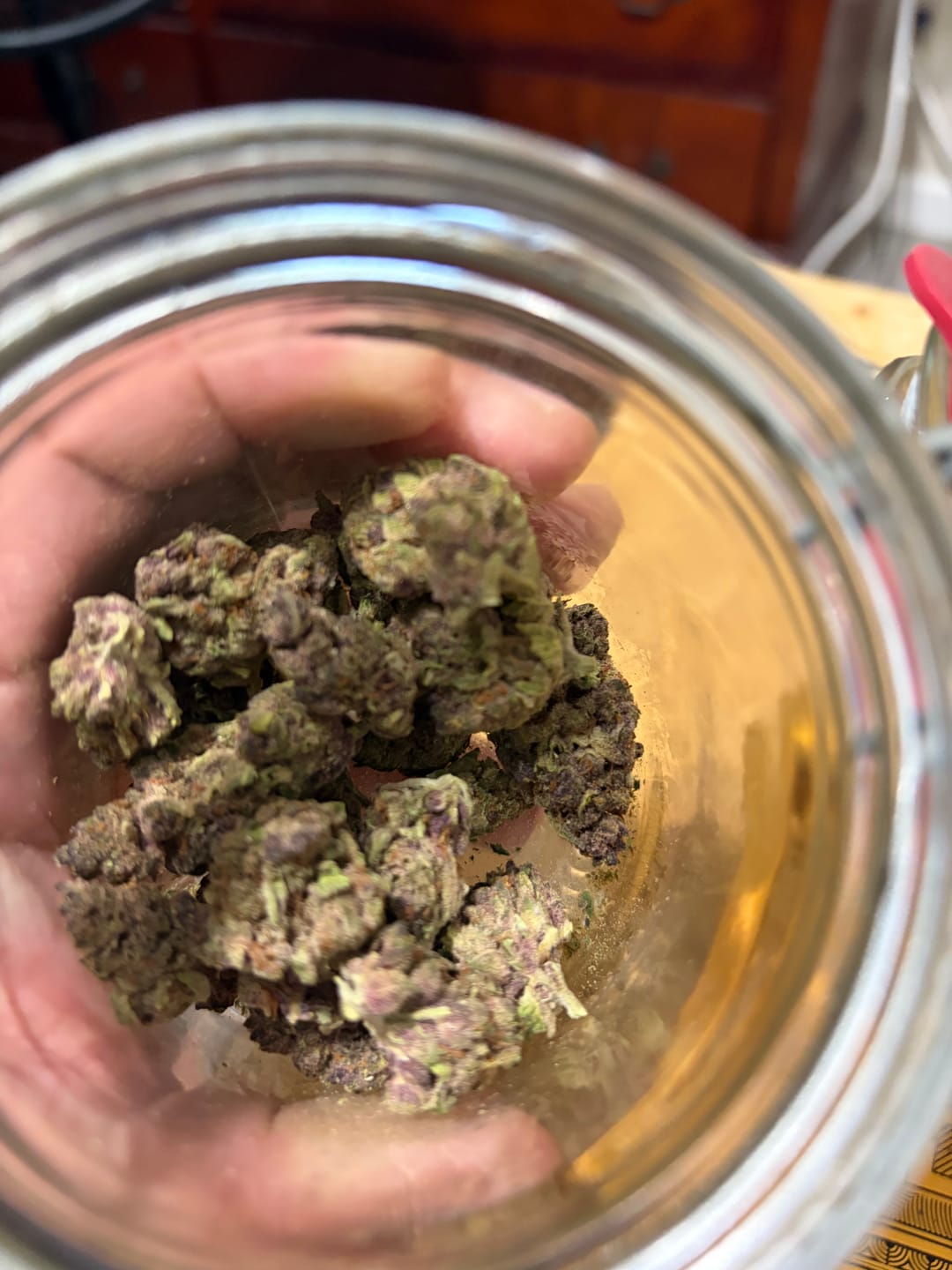 Customer photo review of Tropicana Cherry THCA Flower