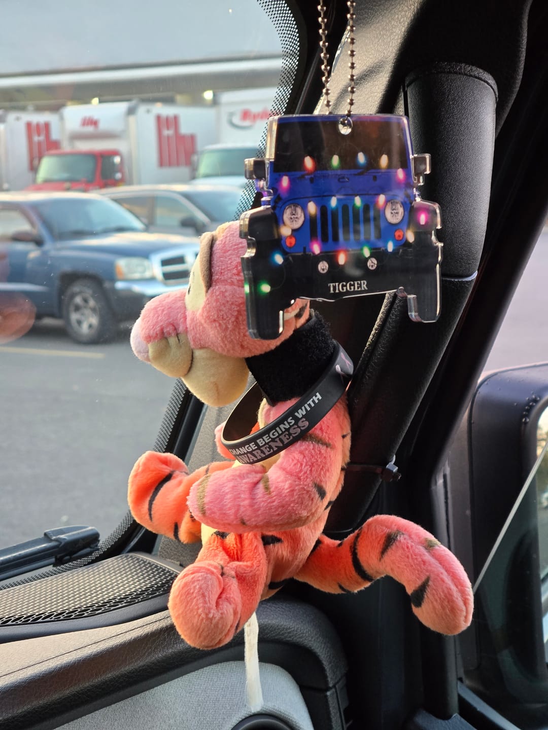 Customer photo review of Personalized Car Acrylic Christmas Ornament