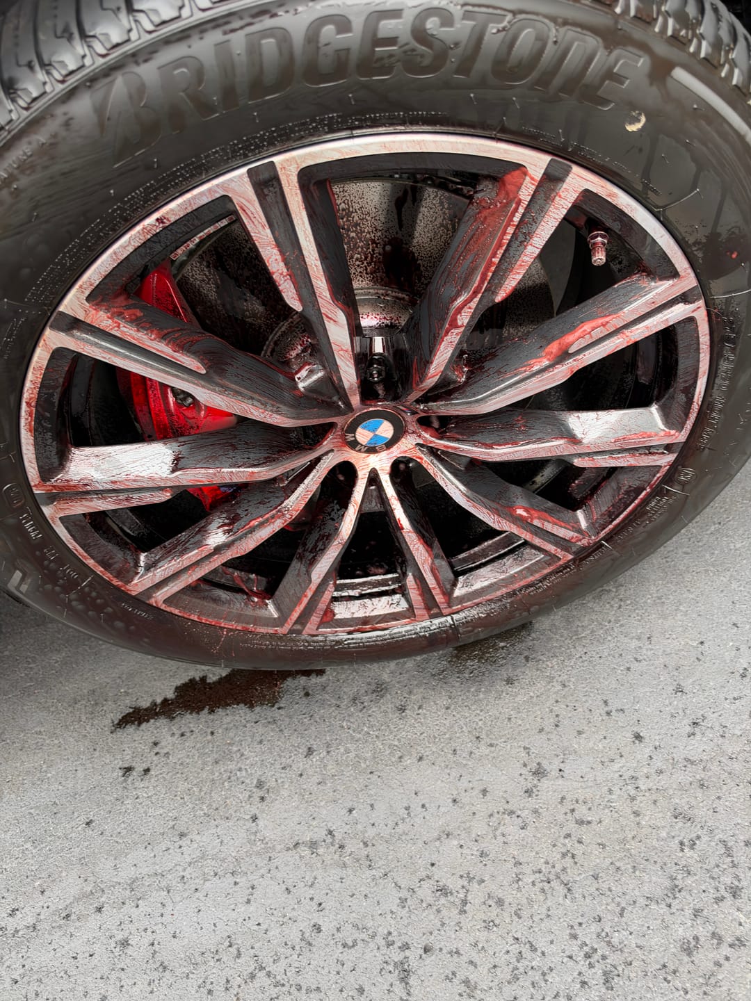 Customer photo review of Wheel Cleaner