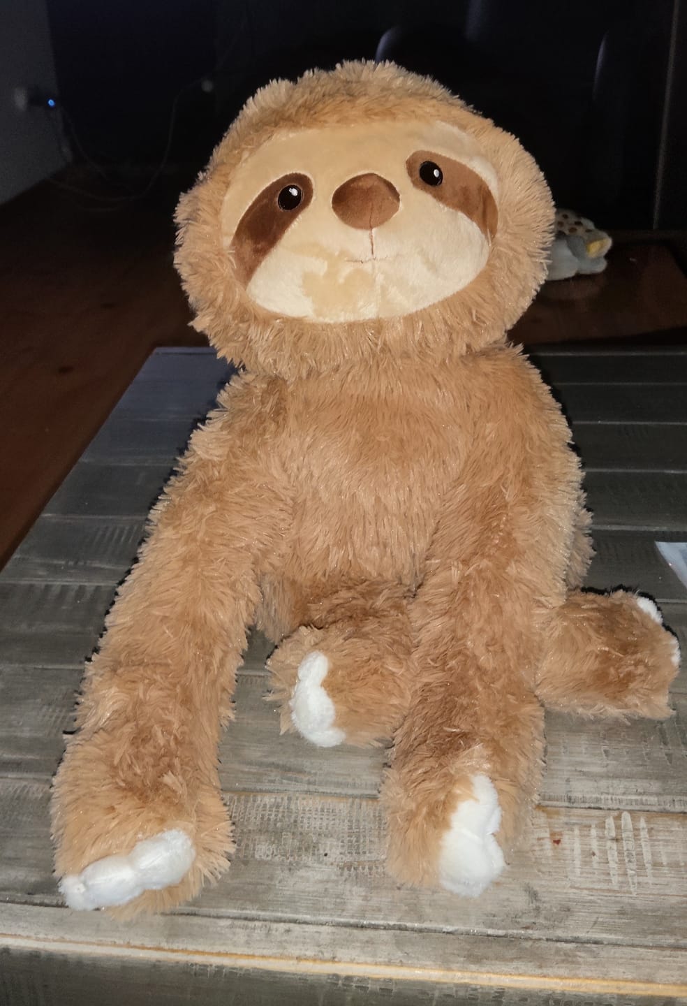 Customer photo review of Lotgenootje Luiaard 2,5kg
