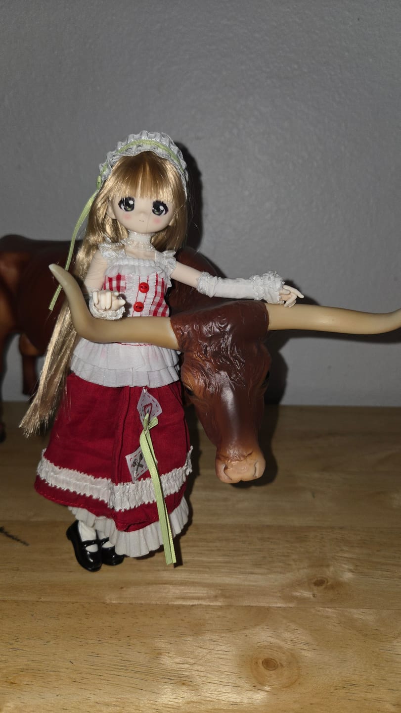 Customer photo review of SyncyLand OOTD Series Special 1/6 Action Figure BJD Blind Box