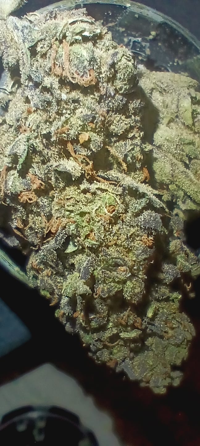 Customer photo review of THCA Queen