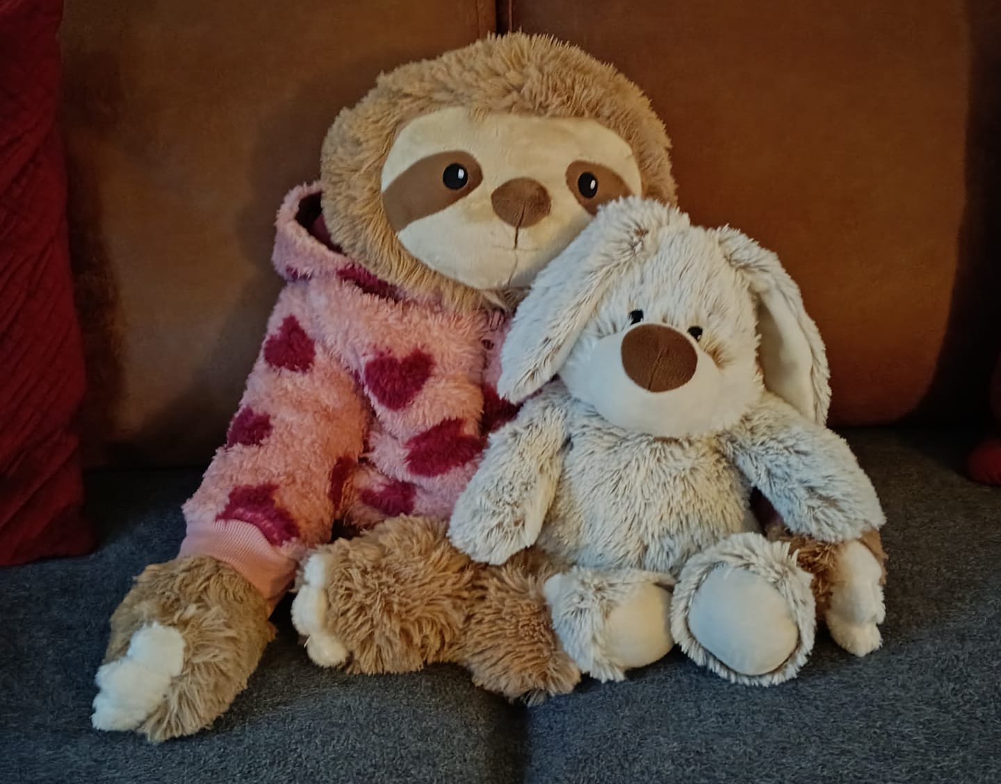 Customer photo review of Lotgenootje Luiaard 2,5kg