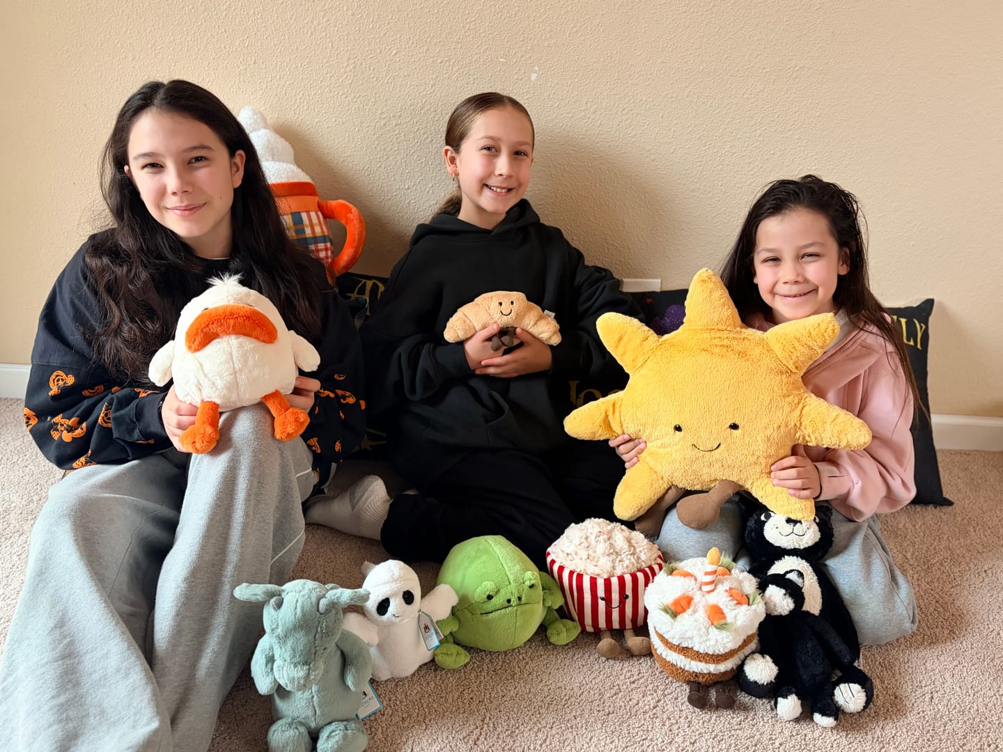 Customer photo review of Amuseables Sun