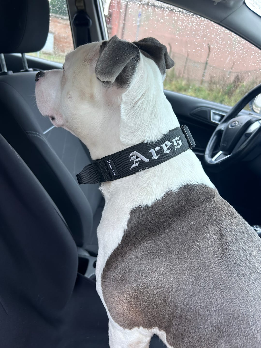 Customer photo review of Collare Crime 3cm