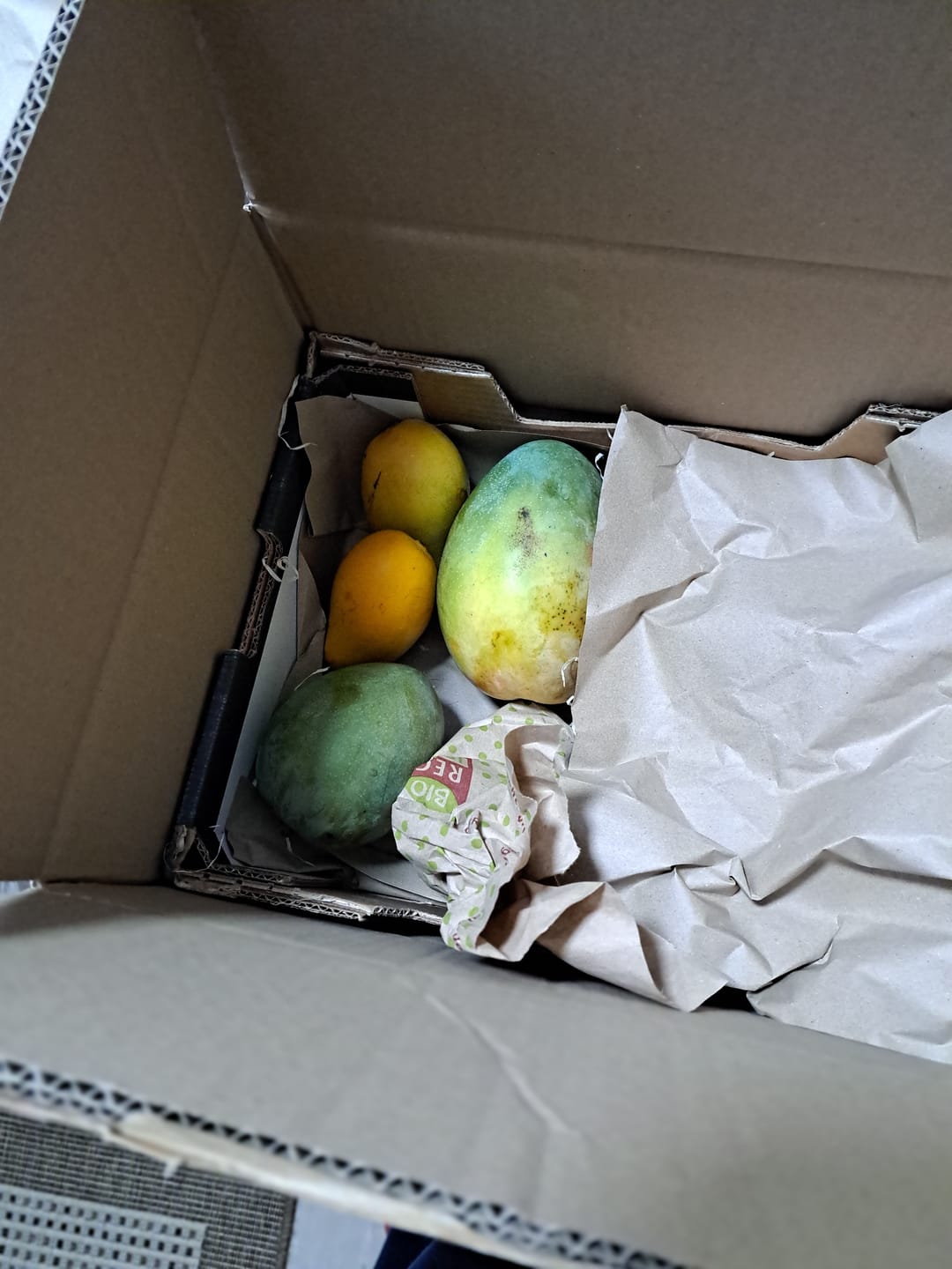 Customer photo review of Mango-Raritäten Mix von Julian Aktionswoche %