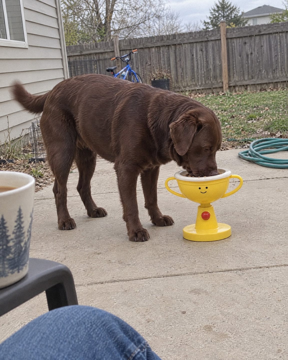 Customer photo review of Opulent Bowl