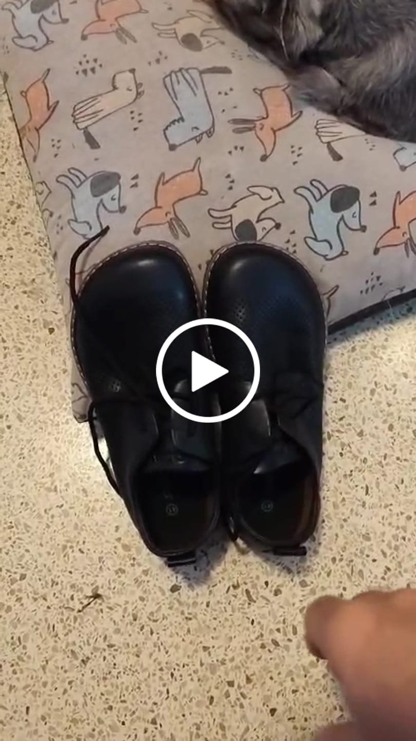 Customer video review of Form Ⅰ Air - Zapatos Barefoot de Cuero Perforado (Veganos)