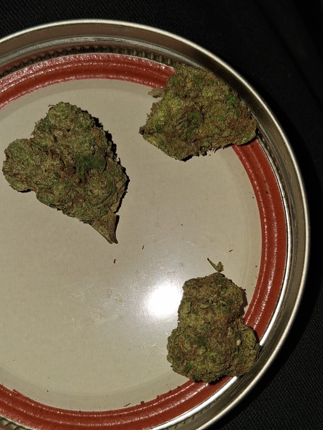 Customer photo review of Papaya Runtz THCA Flower