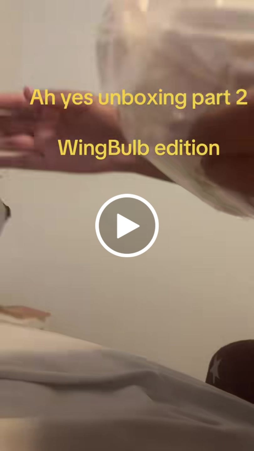 Customer video review of Original Character (OC) Design Plush