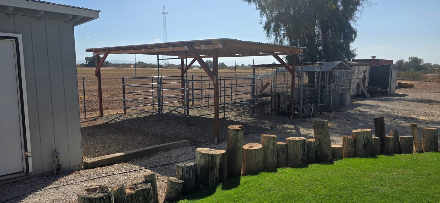 Customer photo review of 12x12 Horse Stall Kit (5-Rail) 14-Gauge Steel