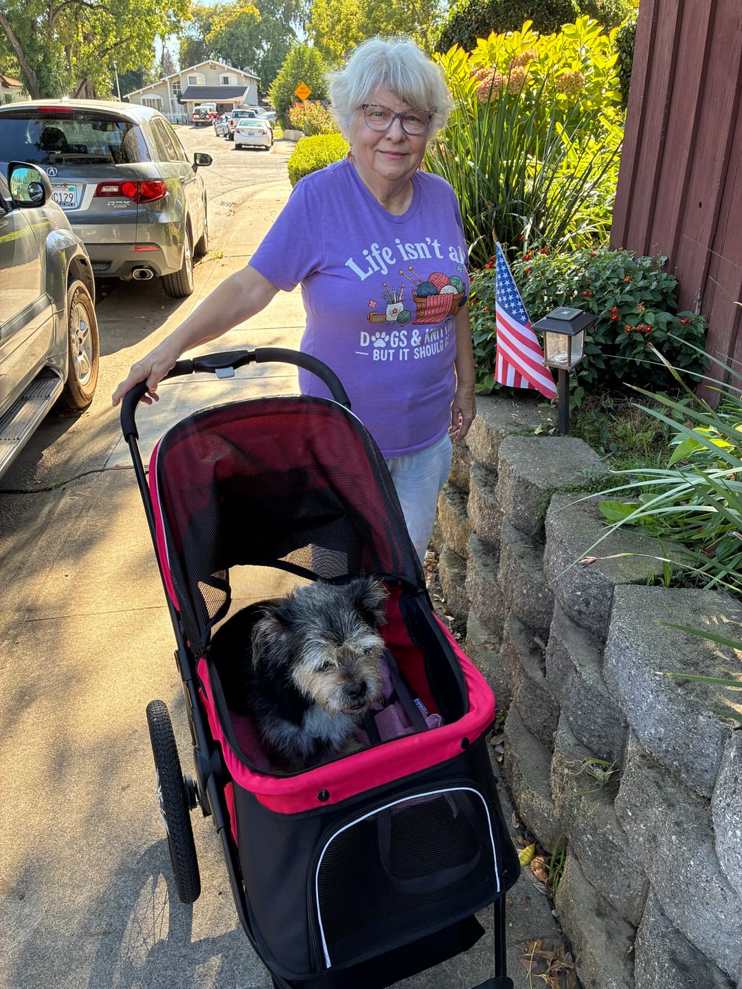 Customer photo review of Dogs & Knitting T-shirt