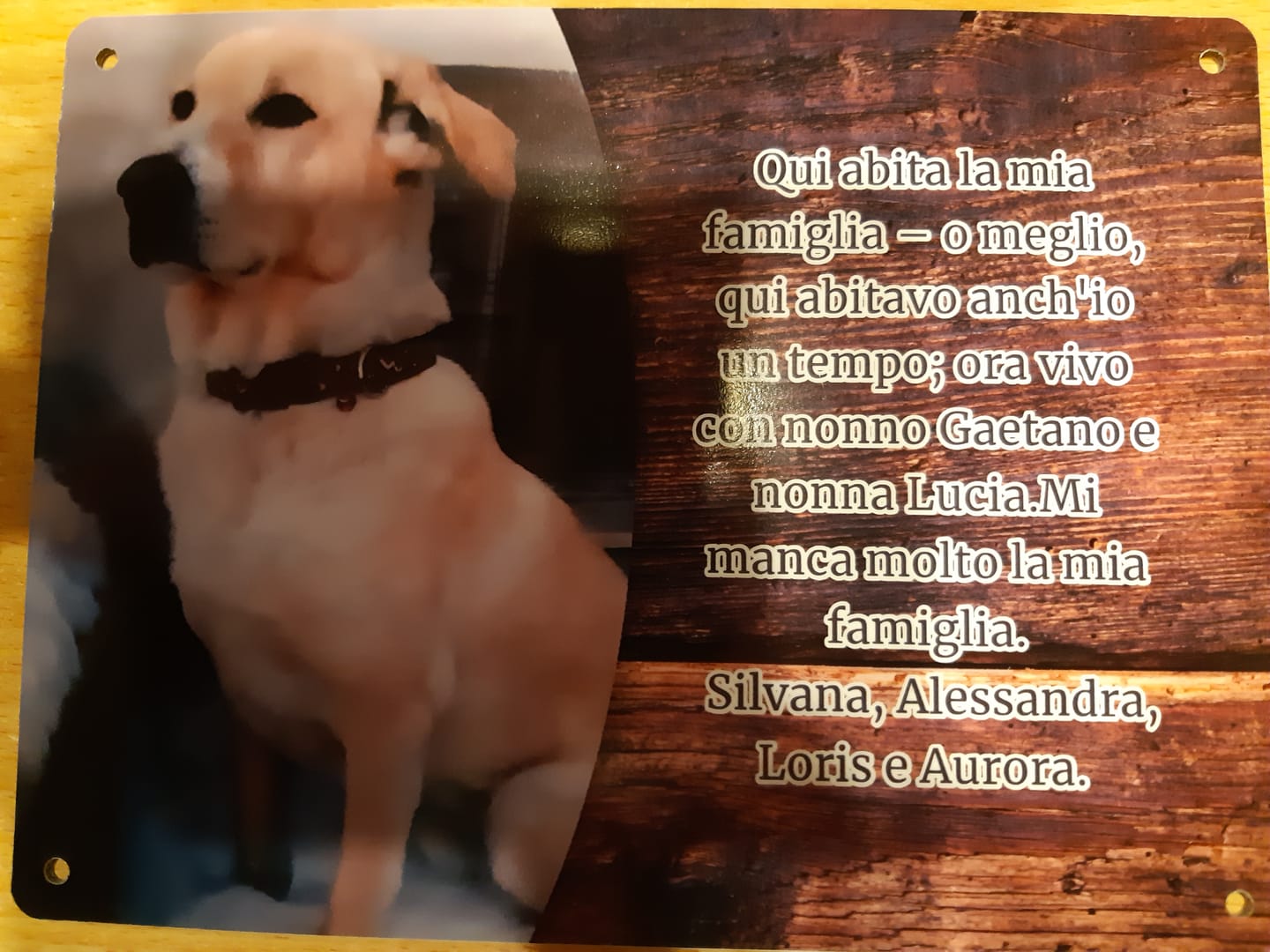Customer photo review of Hunde-Türschild personalisiert mit Foto & Text (UV- und wetterfest)
