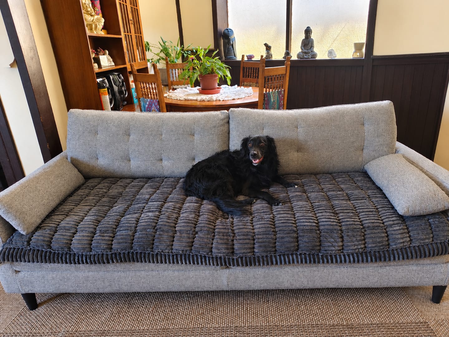 Customer photo review of Majestuoso · Protector Premium para Sofá