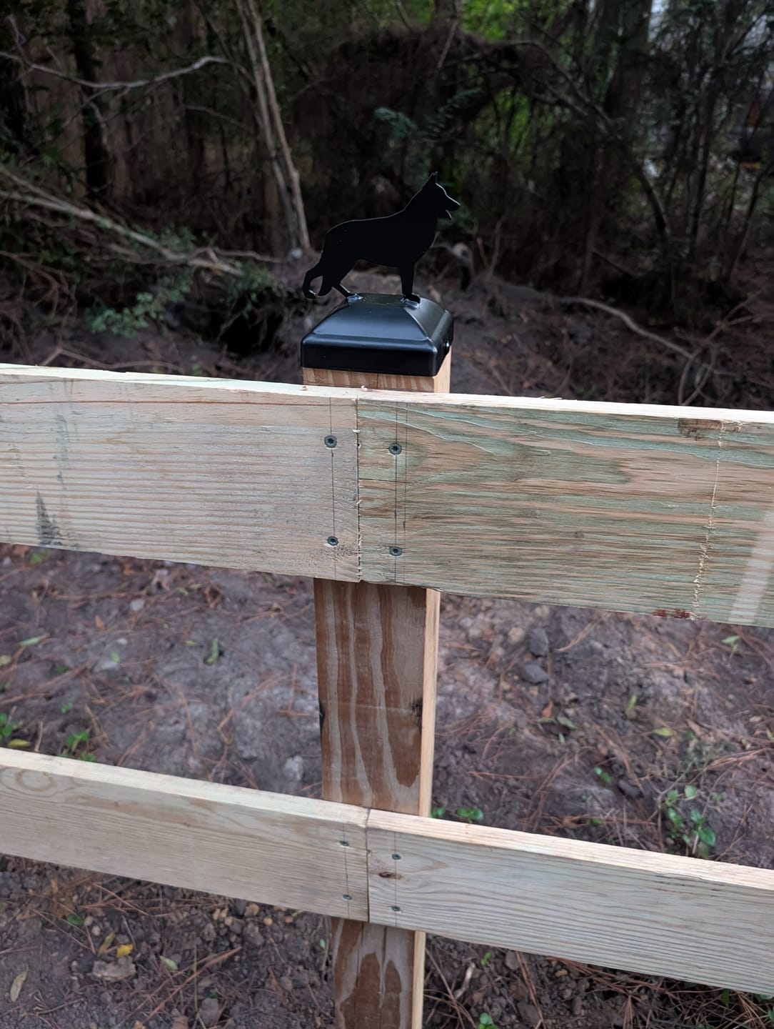 Customer photo review of German Shepherd Fence Post Cap (Multiple Post Sizes Available)