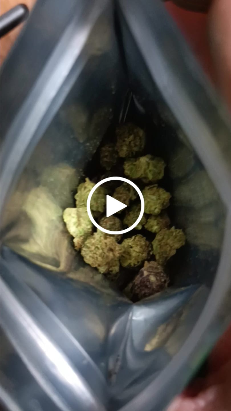 Customer video review of Black Cherry Zoap Smalls - THCA Flower