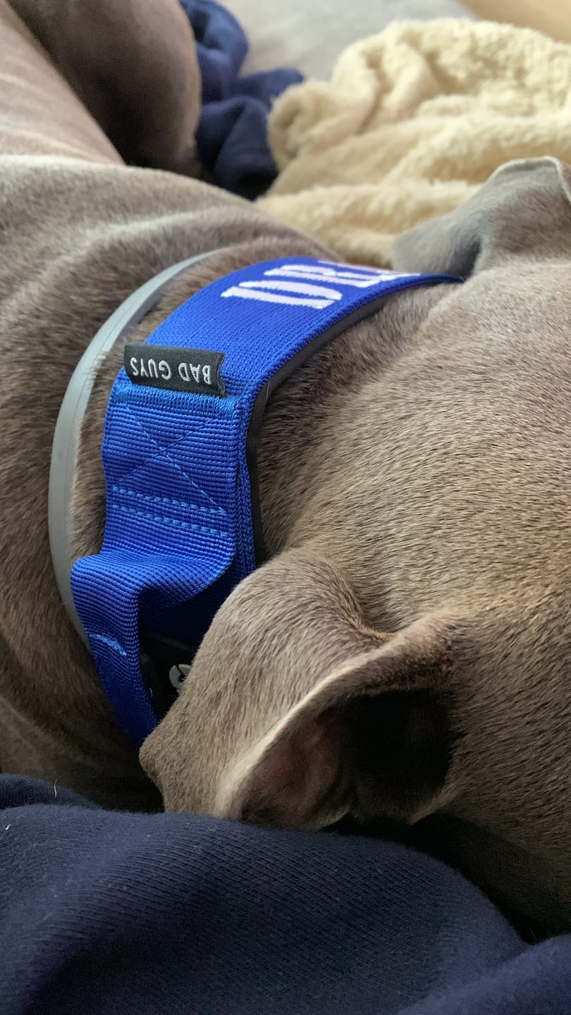 Customer photo review of Collare Crime 5cm