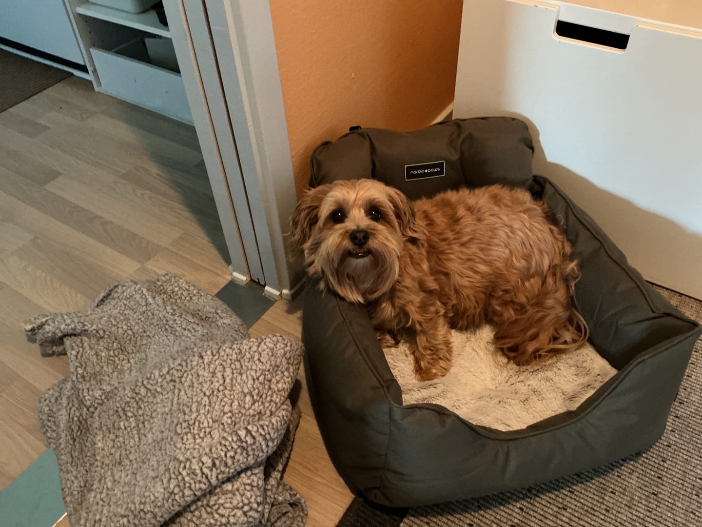 Customer photo review of Luksus bilsæde (armygrøn)