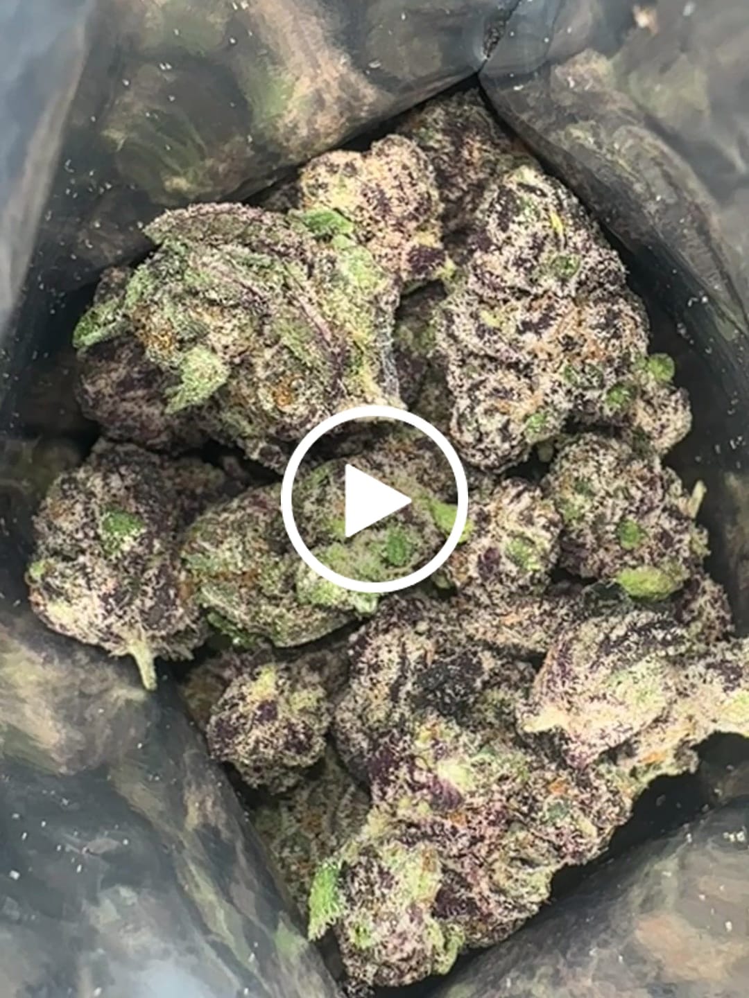 Customer video review of Blueberry THCA Flower (Exotic)